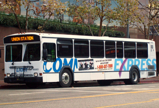 image of white city bus on road